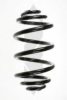 SPIDAN 56011 Coil Spring